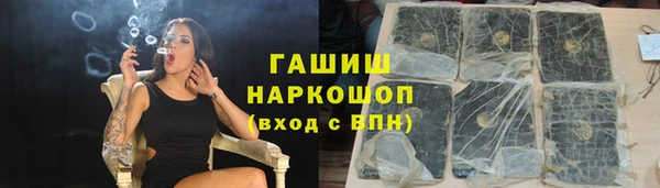 индика Горнозаводск