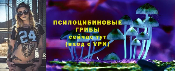 соль ск Гусь-Хрустальный